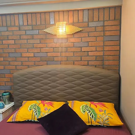 Apartament Denize Sifir 1 1 Salon Sueit Didim